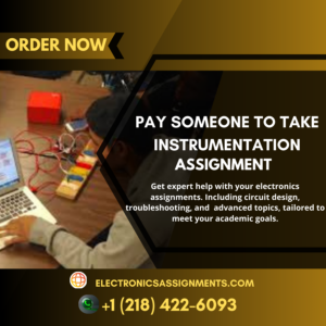 Pay Someone To Take Instrumentation Assignment